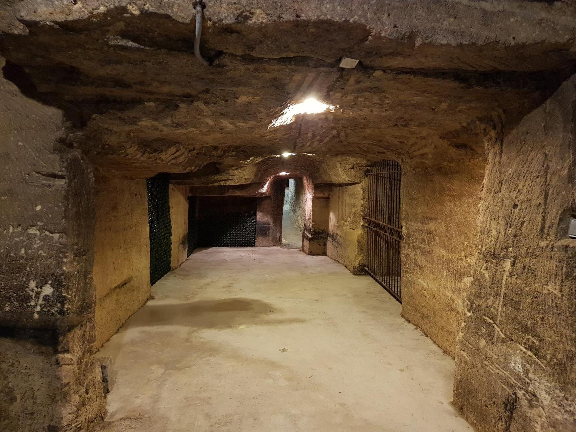 Chateau Fleur De Roques - Puisseguin Saint Emilion מראה חיצוני תמונה
